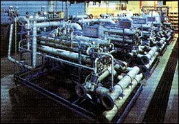 KOCH-6